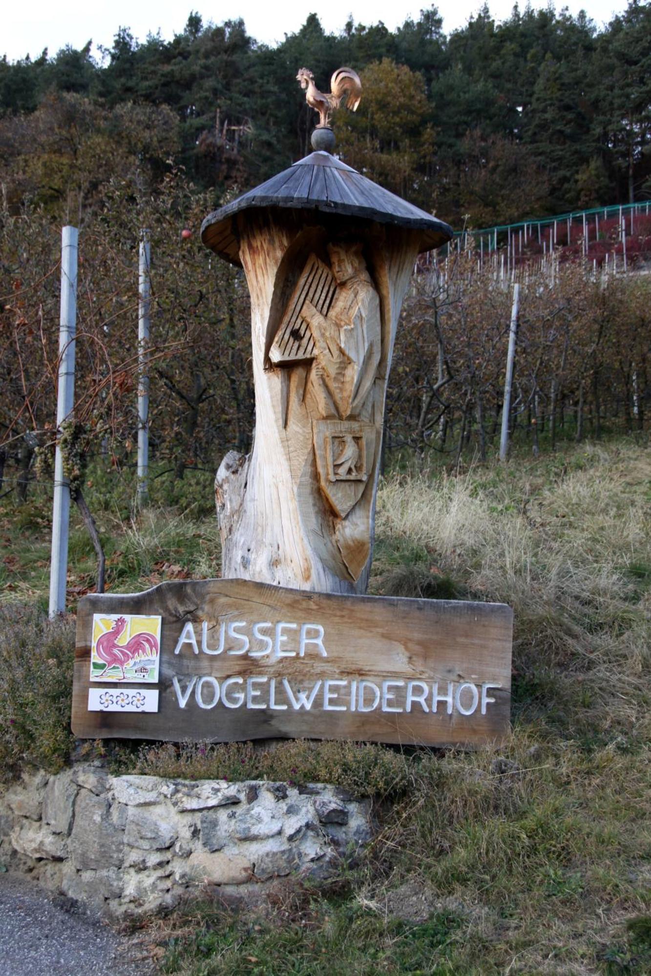 Ausservogelweiderhof ไลออน ภายนอก รูปภาพ