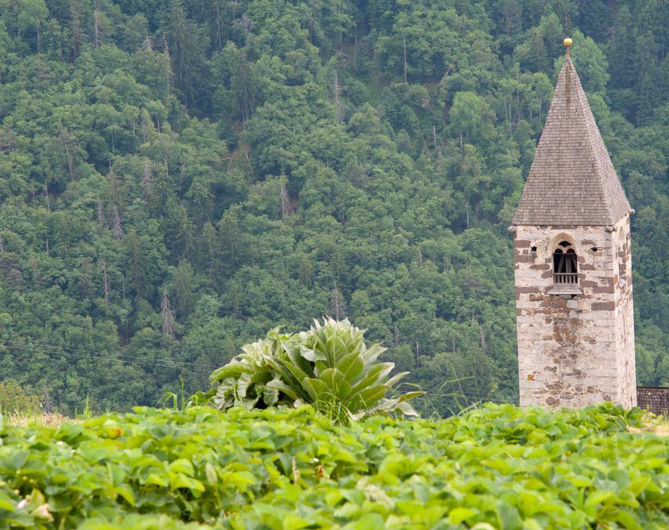 Ausservogelweiderhof ไลออน ภายนอก รูปภาพ